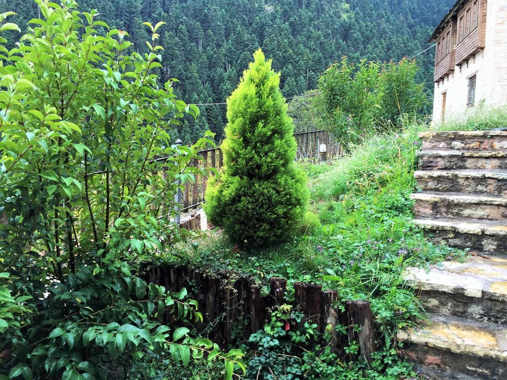 Old Inn Gorianádhes Екстериор снимка